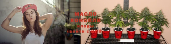 ПСИЛОЦИБИНОВЫЕ ГРИБЫ Абаза