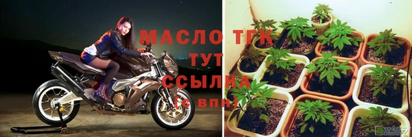 ПСИЛОЦИБИНОВЫЕ ГРИБЫ Абаза