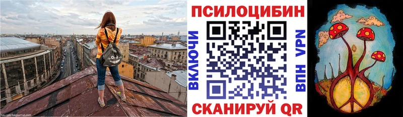 Галлюциногенные грибы мицелий  Энгельс 